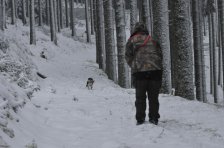Bringtreueprüfung in Mürzzuschlag
